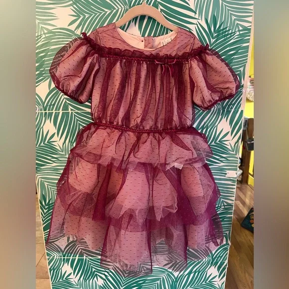 Janie and Jack | Dresses | Janie And Jack Dot Tiered Tulle